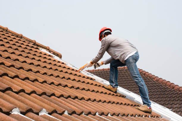 Best Sheet Metal Roofing  in Cudjoe Key, FL